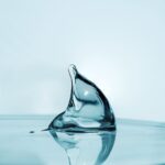 Distribuidor 🚀 Distributor RenewAll - Imagen 2