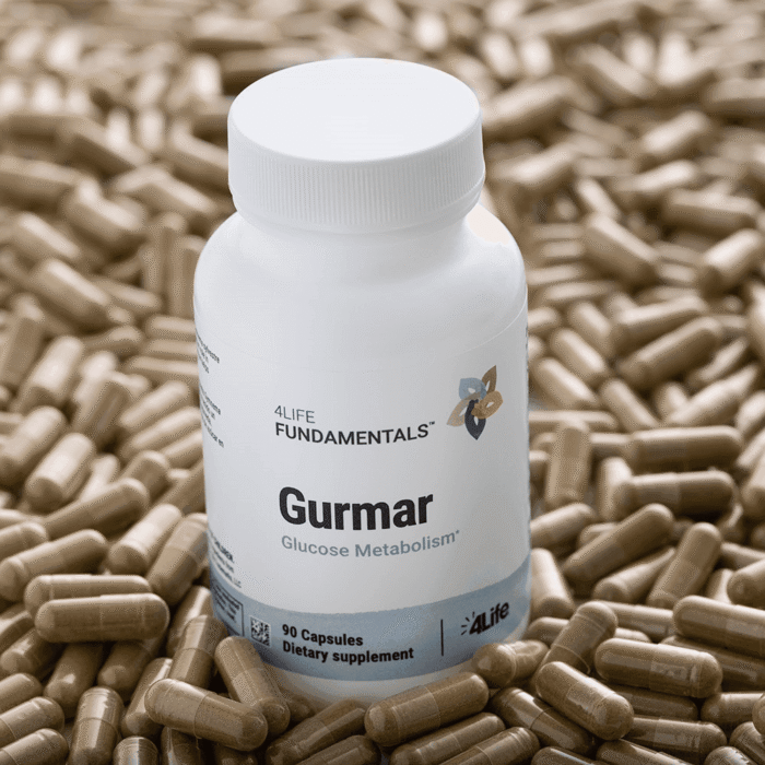 Distribuidor 🚀 Distributor Gurmar - Imagen 2